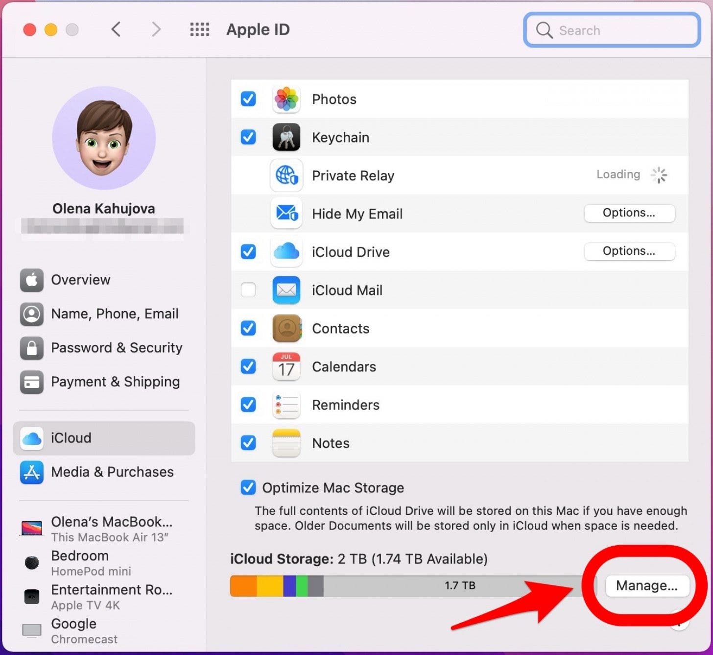 Klicken Sie auf Verwalten – Computer in iCloud sichern