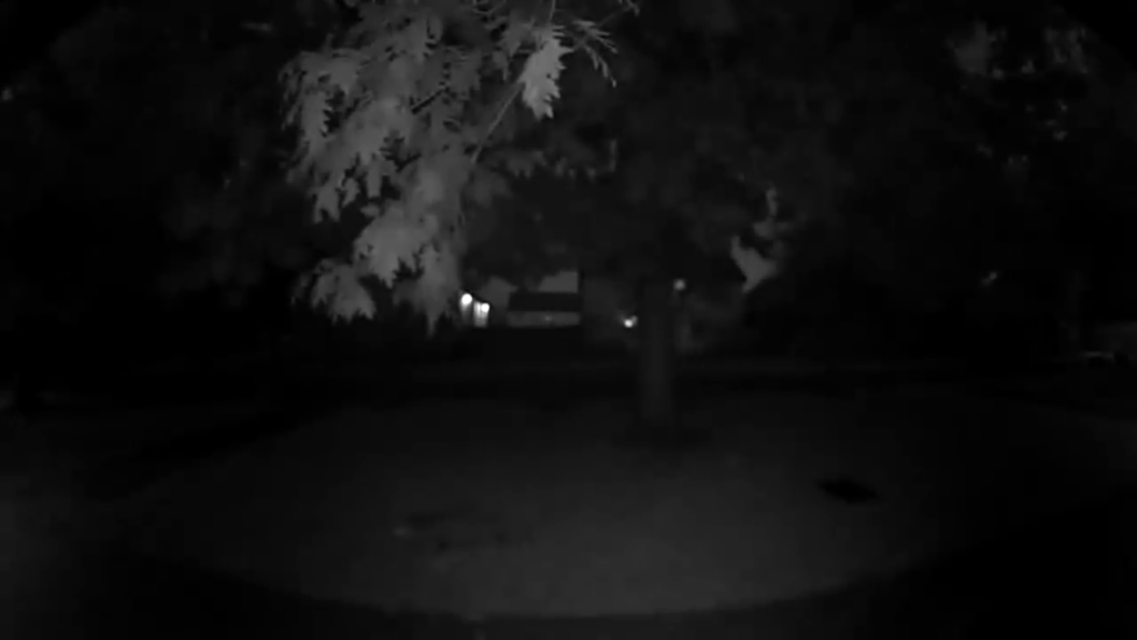 Blink Video Doorbell Nachtbeispiel