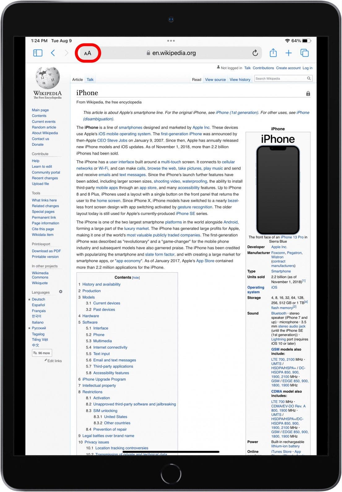 Safari in iPadOS mit markiertem AA-Symbol.