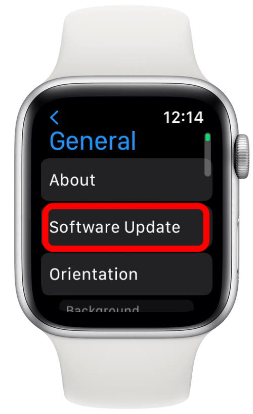 Tippen Sie anschließend auf Software-Update. 