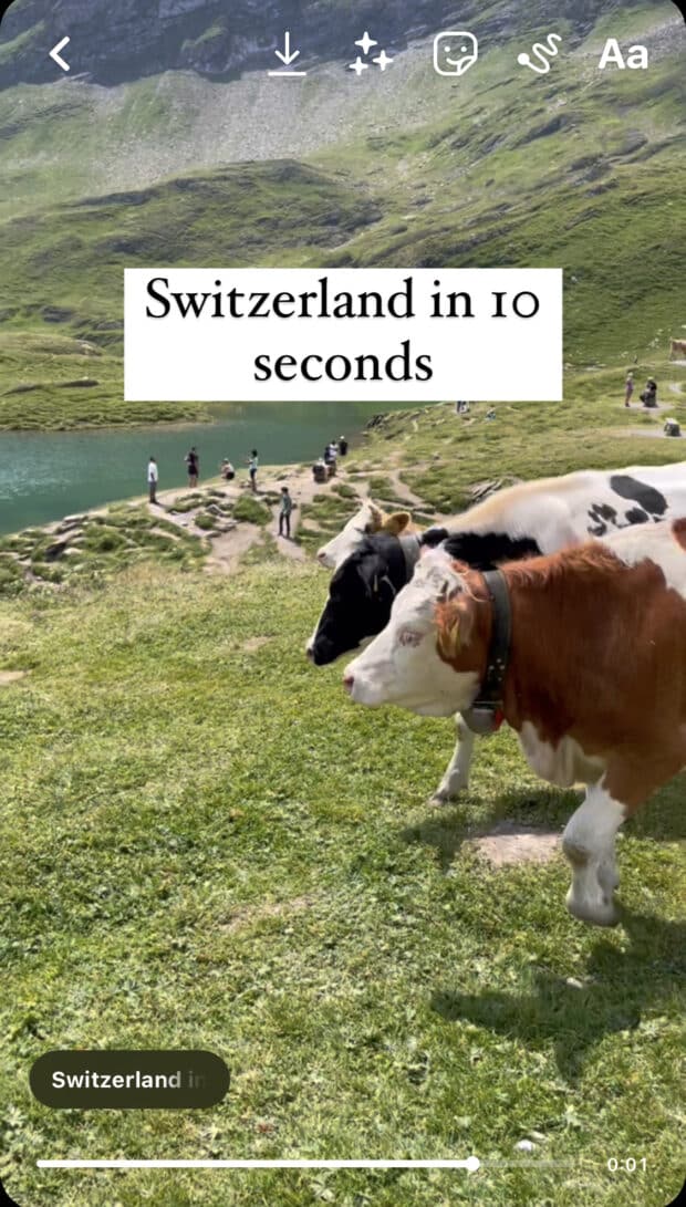 Die Schweiz in 10 Sekunden Rollenbeispiel