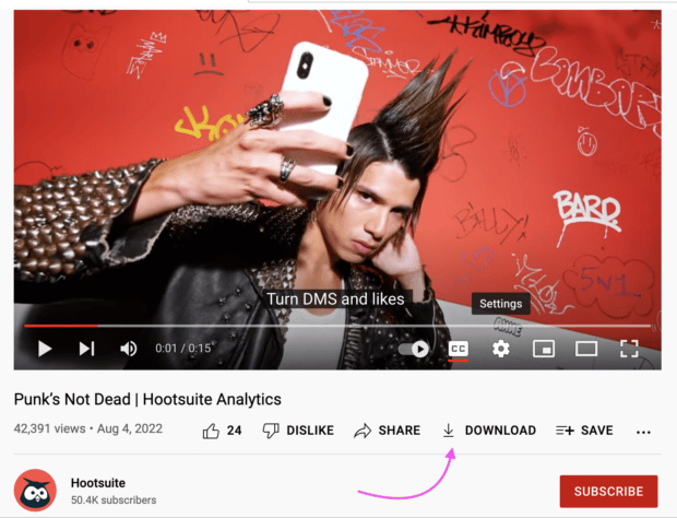 Punk ist nicht tot Themelocal Analytics-Download-Video