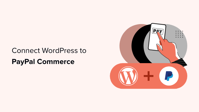 Einfache Verbindung von WordPress mit PayPal Commerce