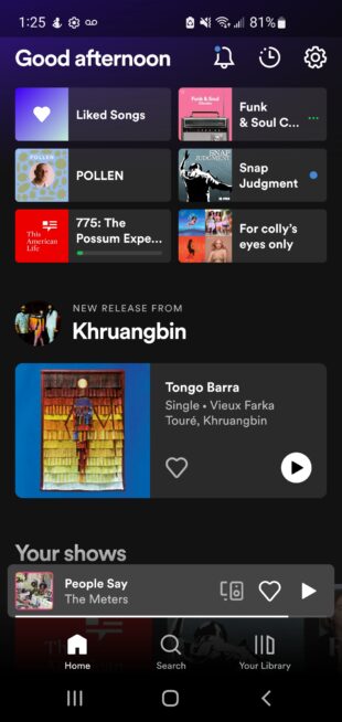 Startbildschirm der Spotify-App