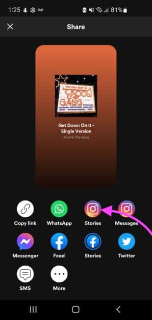 Wählen Sie Instagram Stories in der Spotify-App aus