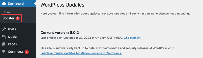 Aktivieren Sie automatische WordPress-Updates
