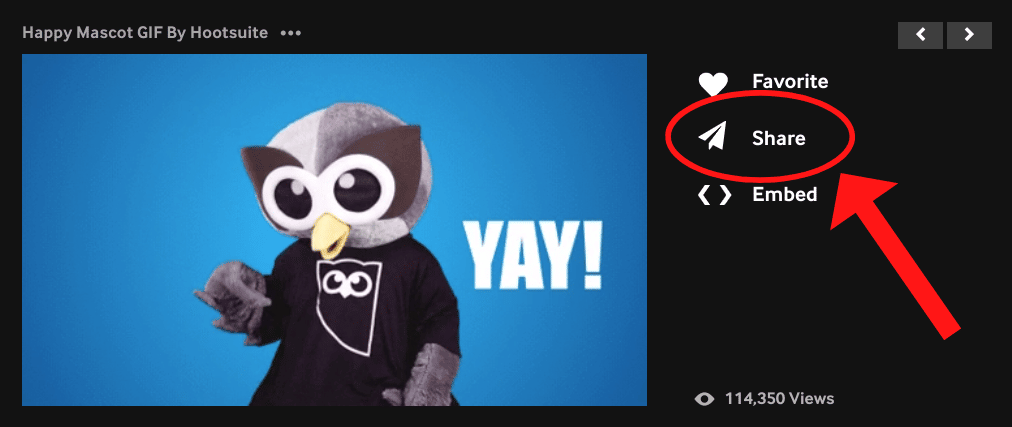 Teilen-Symbol auf der rechten Seite von Owly GIF