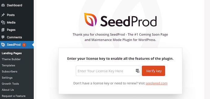 Eingabe des SeedProd-Lizenzschlüssels