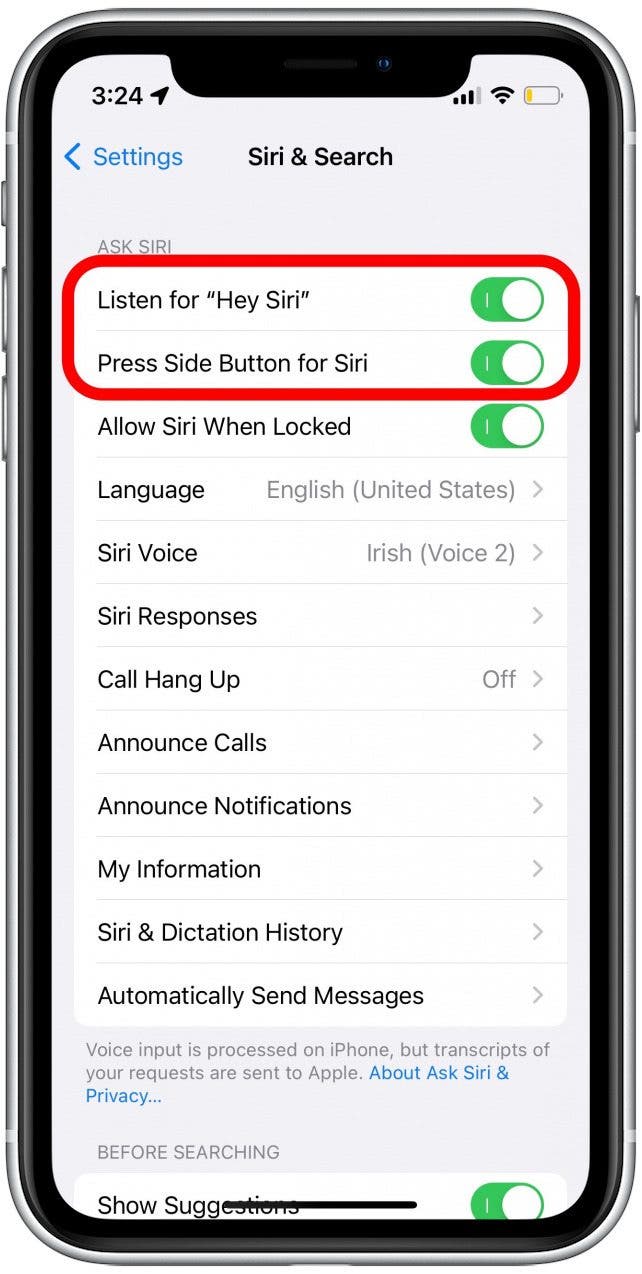 Vergewissern Sie sich, dass die beiden oberen Schalter „Auf „Hey Siri“ hören“ und „Seitentaste für Siri drücken“ grün und eingeschaltet sind.