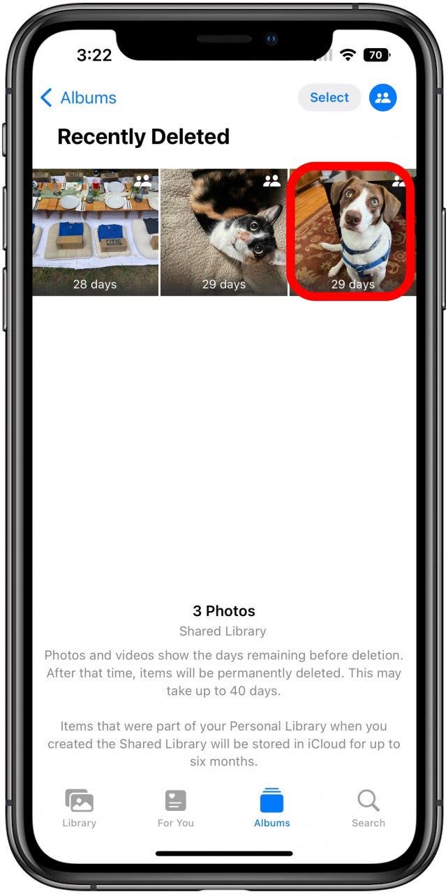 Fotos-App im Album „Zuletzt gelöscht“ mit einem markierten Foto eines Hundes.