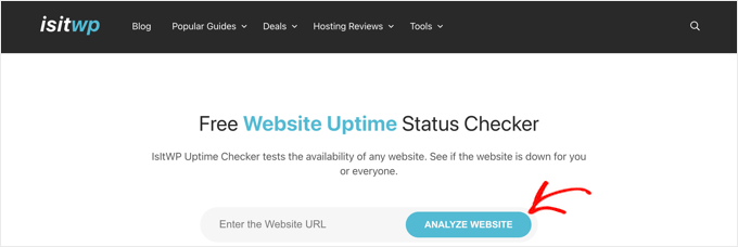 IsItWP Uptime Checker-Tool
