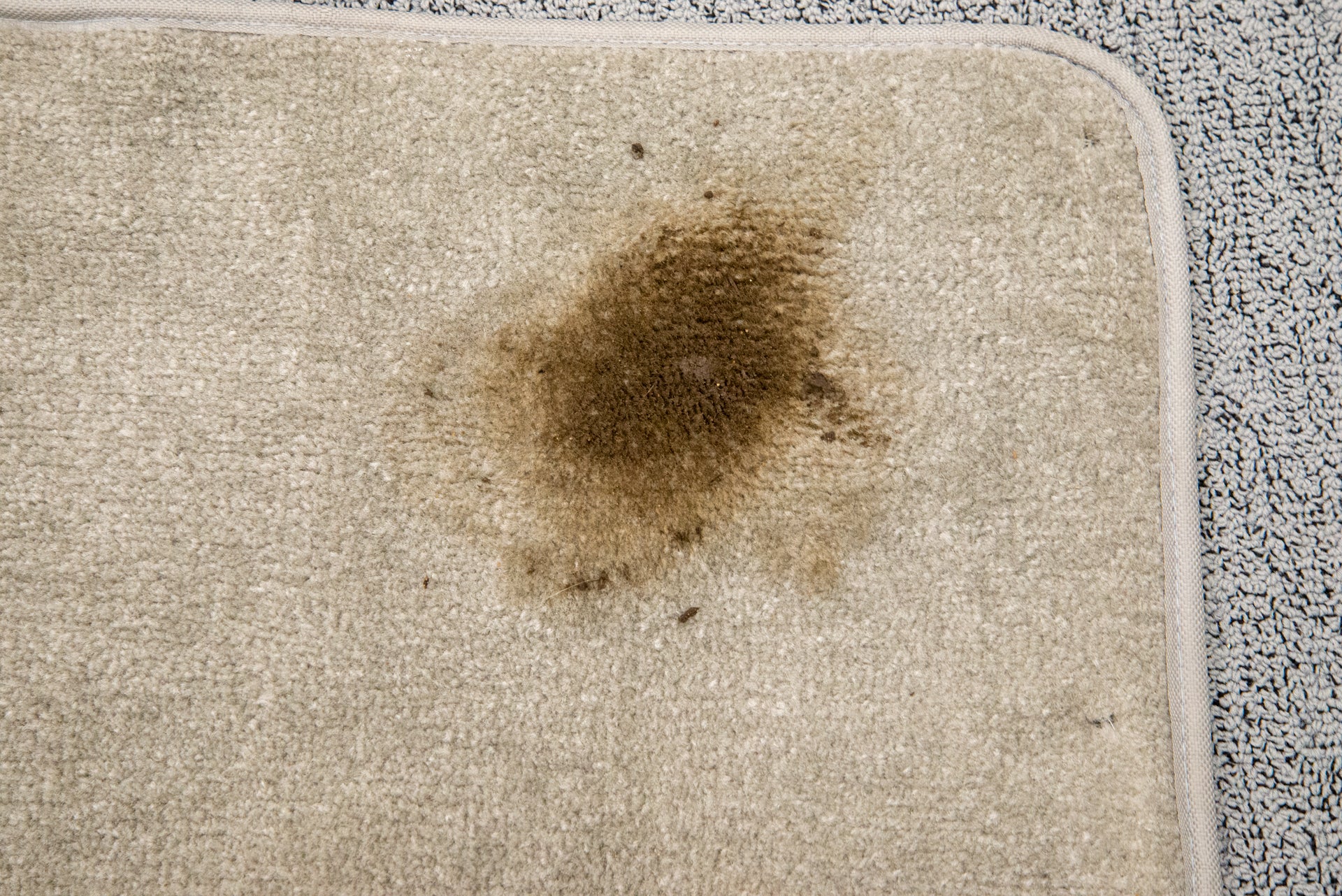 Eine Matte auf einem Teppich mit einem braunen Schmutzfleck
