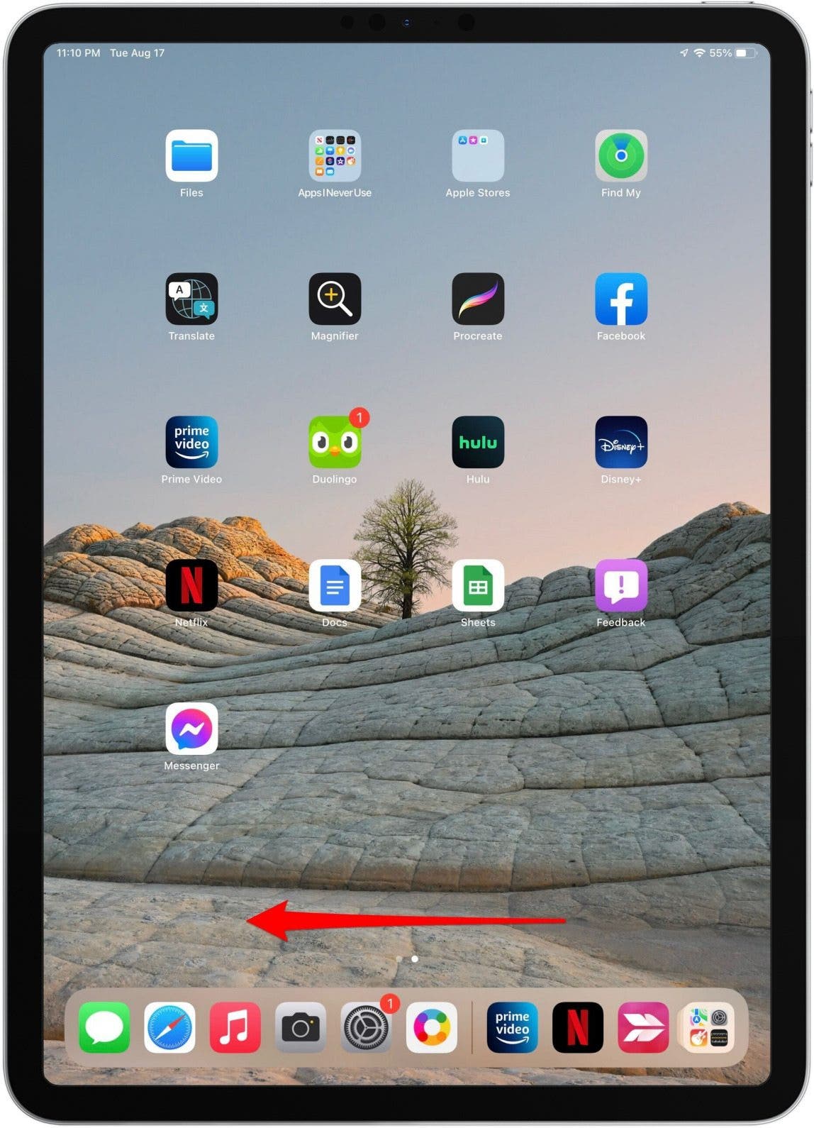 iPad-App-Bibliothek