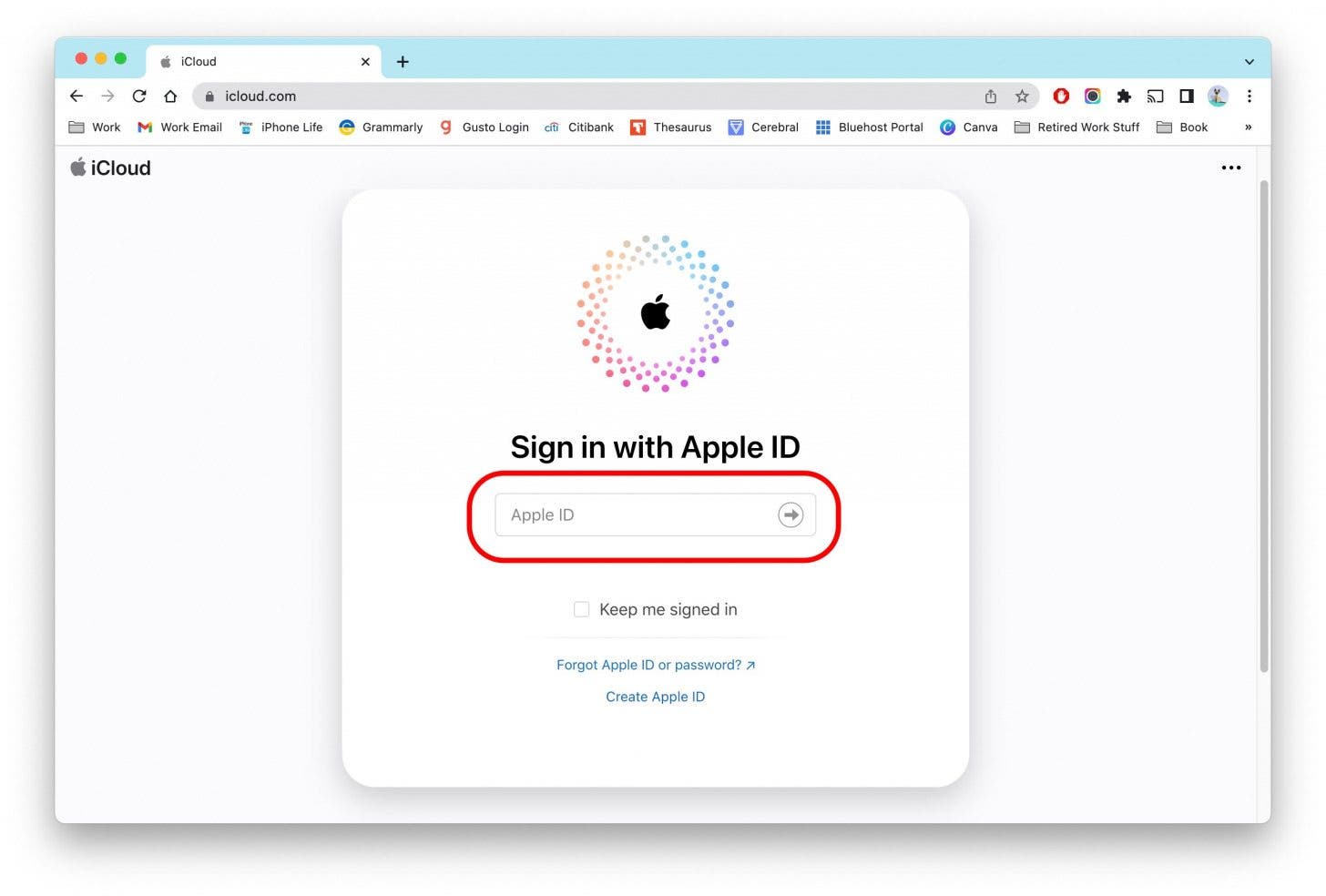 Melden Sie sich mit Ihrer Apple-ID an.