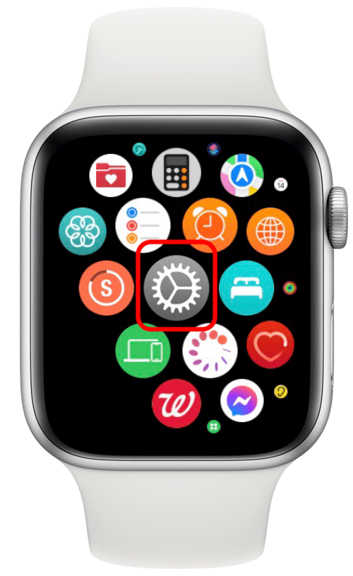 Tippe auf die App „Einstellungen“ auf der Apple Watch