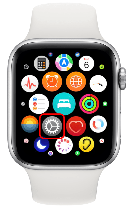 Wecken Sie Ihre Apple Watch auf, drücken Sie die Startbildschirm-Taste und öffnen Sie die Einstellungen.