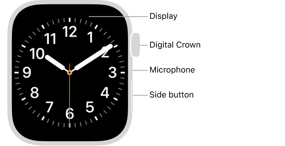 Versuchen Sie, Neustart erzwingen auf Ihrer Apple Watch zu verwenden