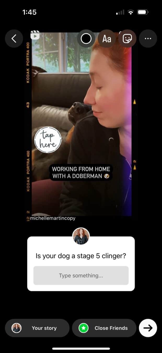 Text, GIFs, Instagram-Sticker zur Geschichte über Dobermann Pinscher