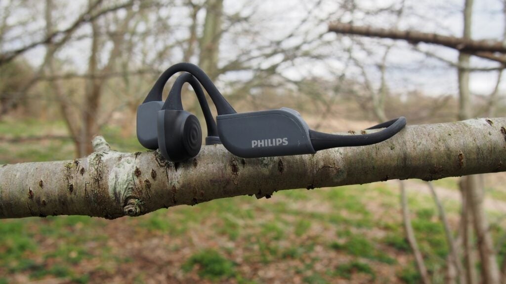 Philips TAA6606 ruht auf Baum