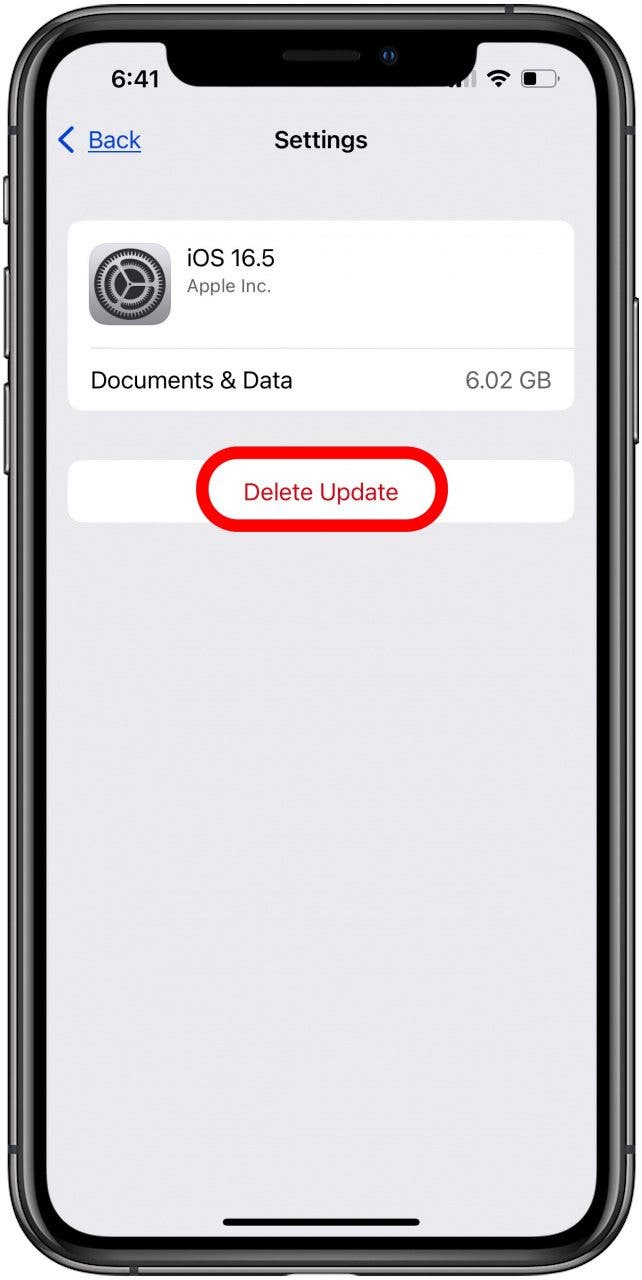 Tippen Sie auf „Update löschen“, um das iPadOS- oder iOS-Update zu löschen