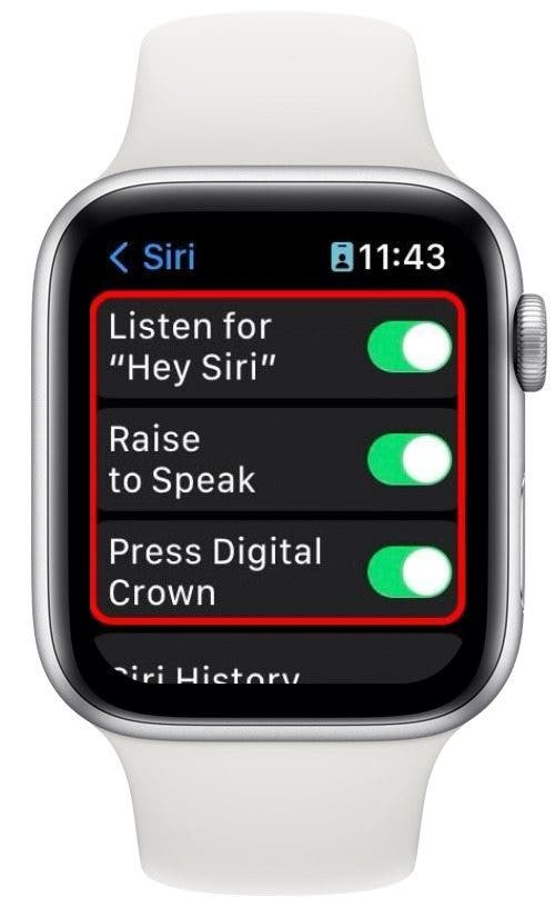Screenshot der Apple Watch, der das Einstellungsmenü mit den folgenden rot eingekreisten Optionen zeigt: Hey Siri, hebe zum Sprechen, drücke die digitale Krone