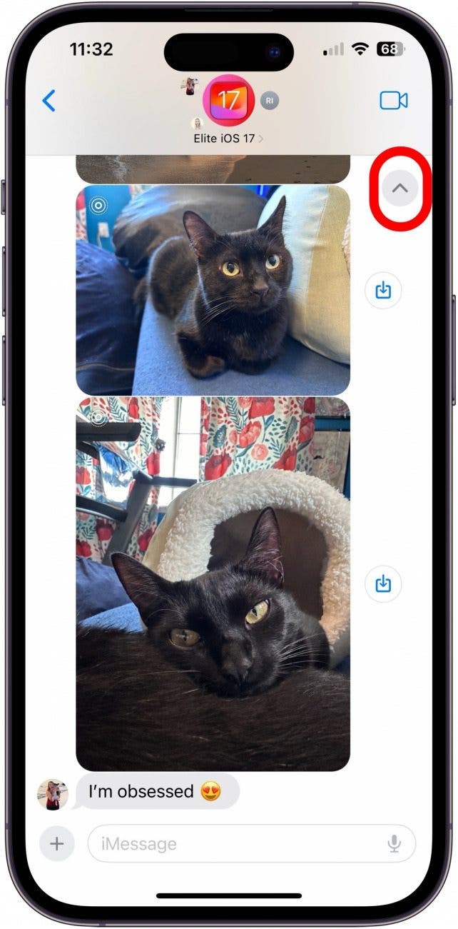 iOS-Gruppenchat mit Bildern von Katzen.  In der oberen rechten Ecke befindet sich ein grauer Kreis mit einem dunklen Pfeil in der Mitte, der nach oben zeigt.  Ein roter Kreis umgibt diese Schaltfläche