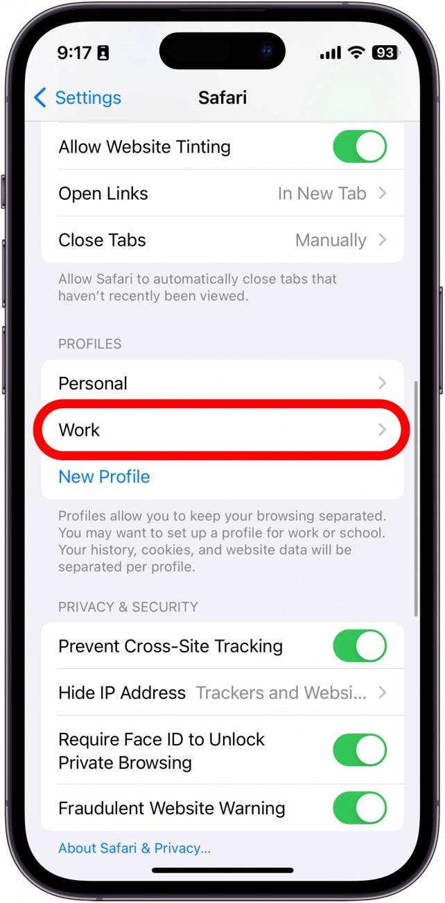 iPhone-Safari-Einstellungen mit rot eingekreistem Arbeitsprofil
