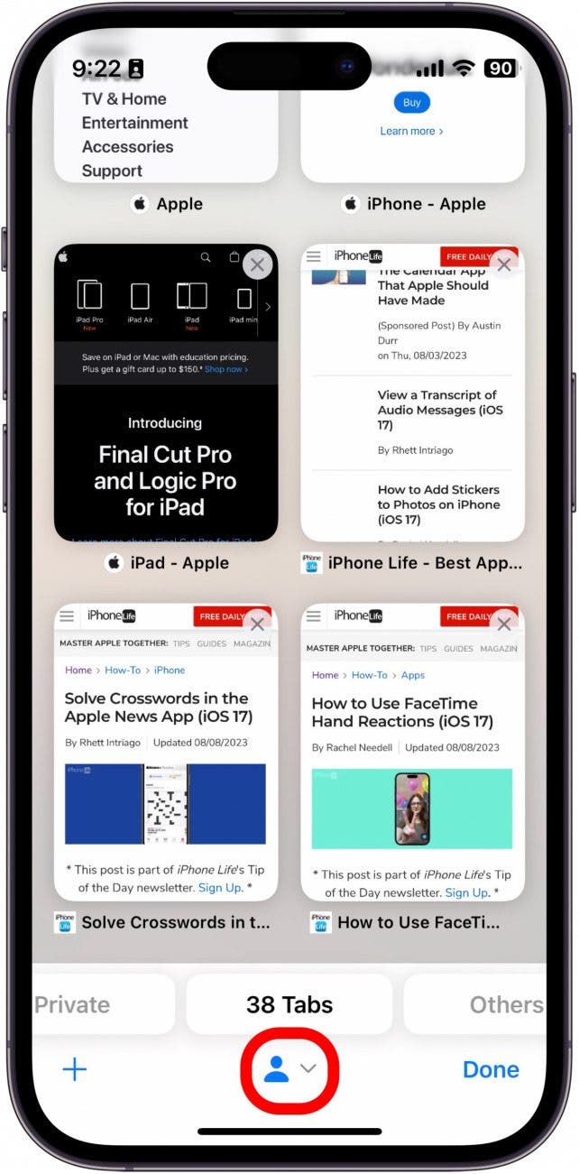 iPhone-Safari-Tabs mit rot eingekreistem Profilsymbol