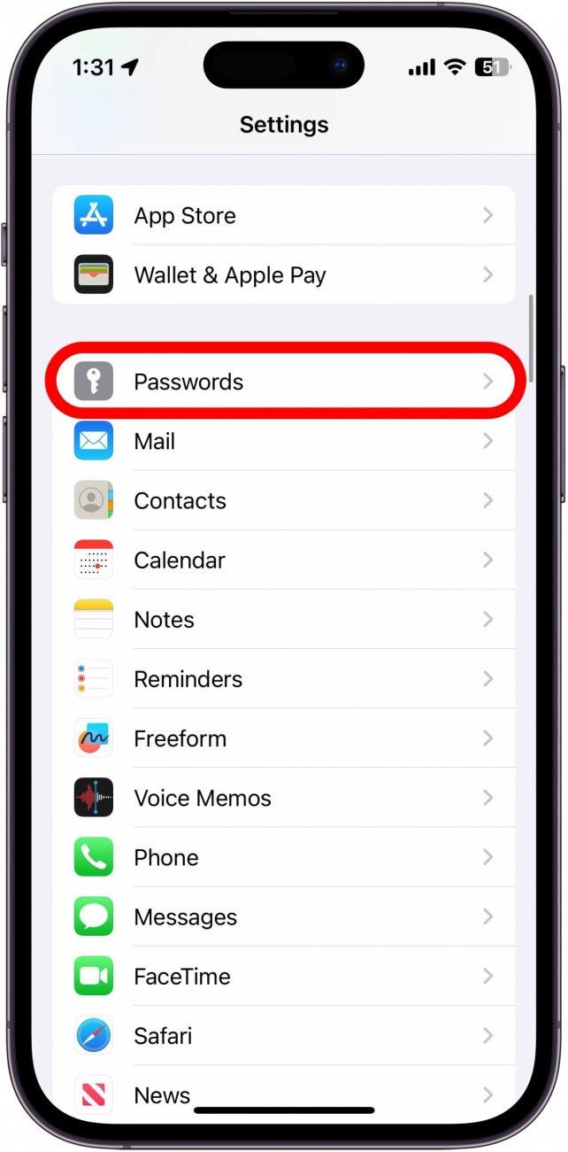 iPhone-Einstellungen mit rot eingekreister Passwortoption