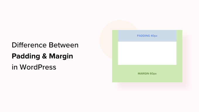 Padding vs Margin – Was ist der Unterschied in WordPress