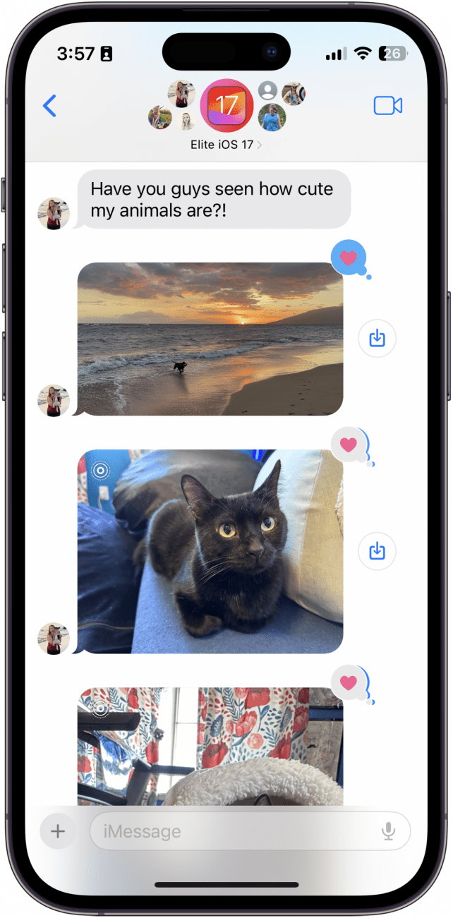 iOS-Gruppenchat mit Bildern von Katzen