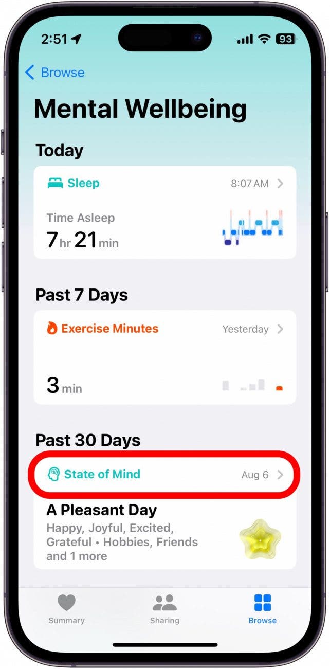 iPhone-Gesundheitsbildschirm für psychisches Wohlbefinden mit rot eingekreistem Gemütszustand