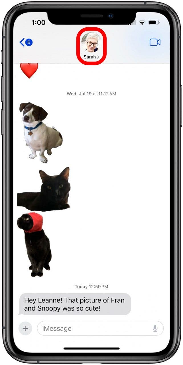 iOS 17-Kontaktkarte wird nicht aktualisiert