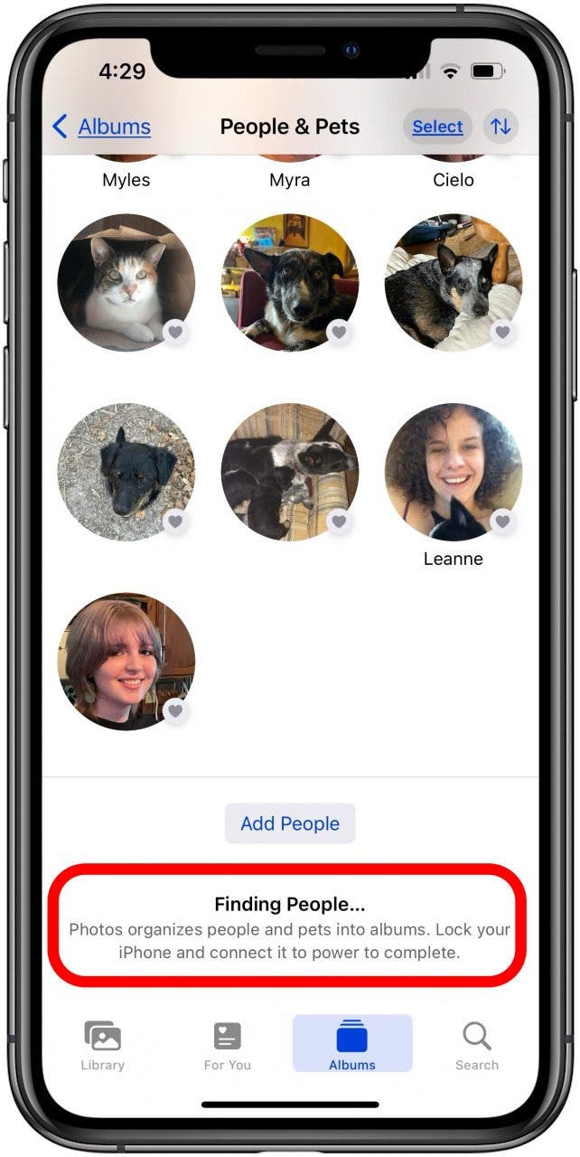 iOS 17 Albumindizierung für Personen und Haustiere