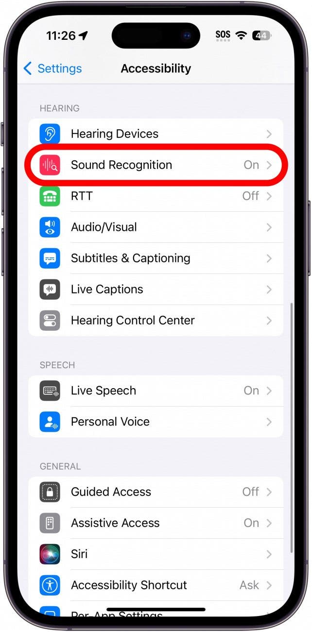 iPhone-Eingabehilfeneinstellungen mit rot eingekreister Tonerkennung