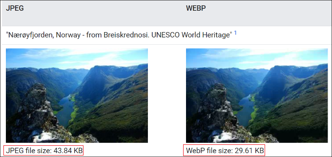JPEG vs. WebP-Format