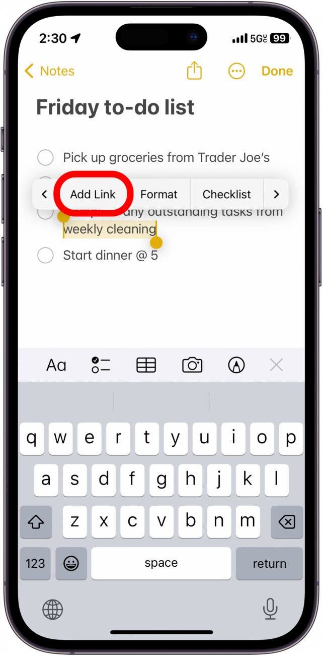 iPhone-Notiz mit ausgewähltem Text, angezeigtes Menü mit rotem Kreis um die Schaltfläche „Link hinzufügen“.