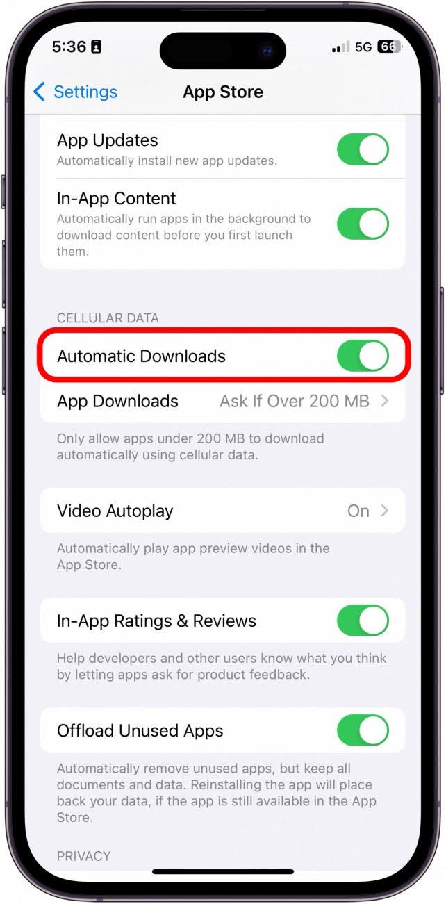 Verwenden Sie Mobilfunkdaten für iPhone-Downloads
