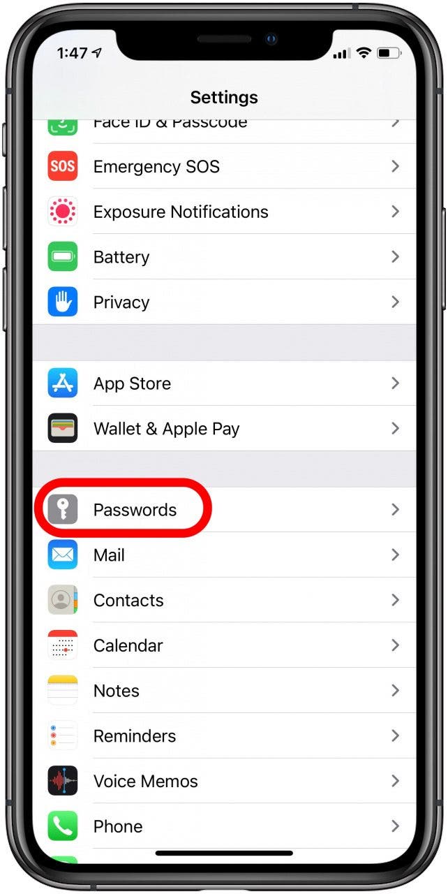 iPhone-Passworteinstellungen