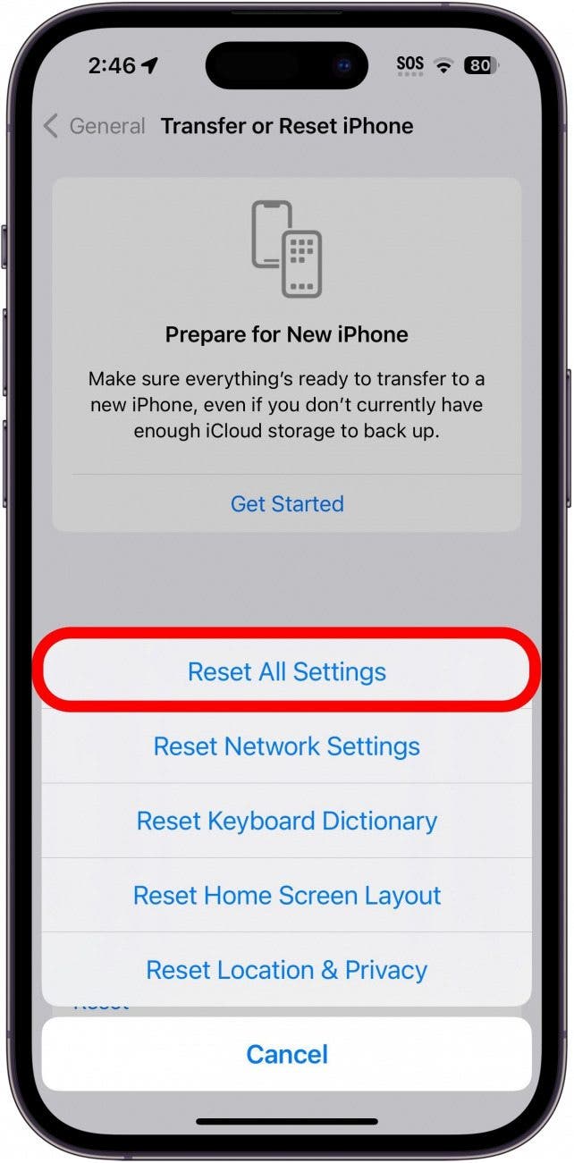 iPhone-Reset-Bildschirm mit rot eingekreister Schaltfläche zum Zurücksetzen aller Einstellungen