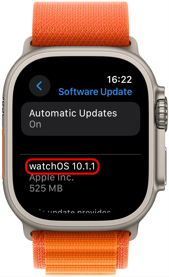 Vergewissern Sie sich als Nächstes, dass auf Ihrer Uhr watchOS 10.1 oder höher läuft (nicht watchOS 10.0).