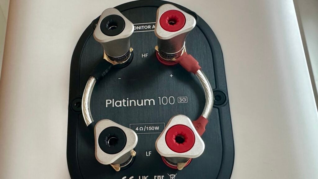 Überwachen Sie Audio Platinum 100 3G-Bindungsanschlüsse