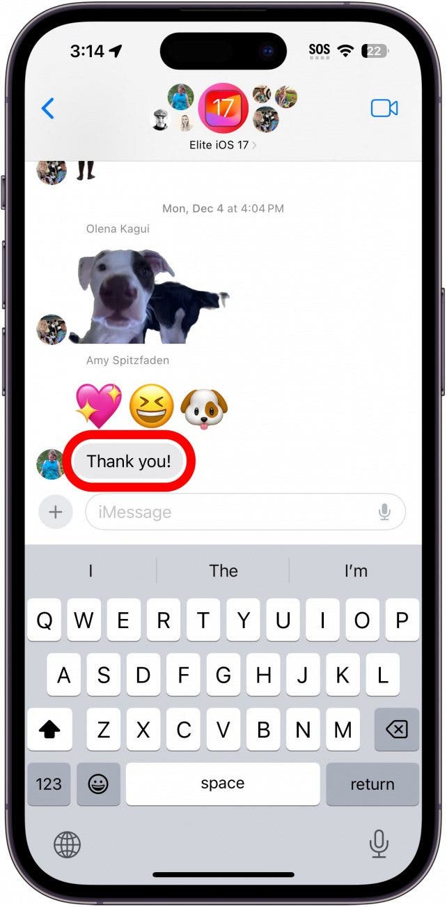 iPhone-Bildnachricht-Konversation mit einem roten Kreis um die Nachricht, der darauf hinweist, dass man lange drücken muss