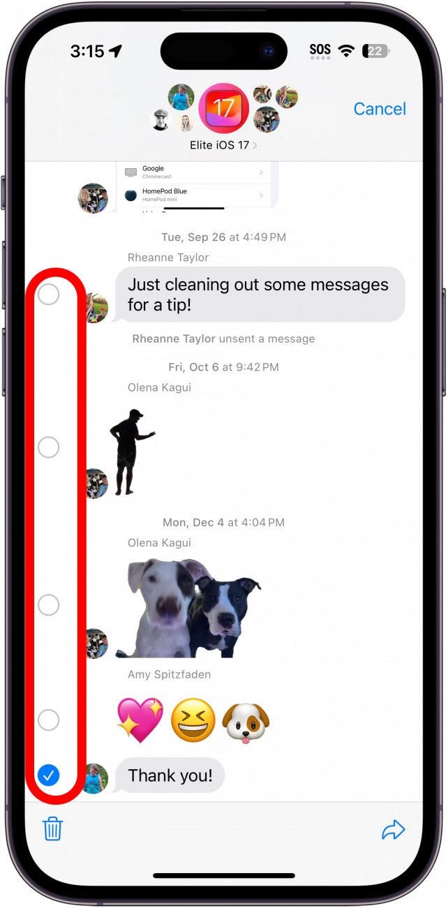 iPhone-Bildnachricht-Konversation mit einem roten Kreis um die Löschblasen am linken Bildschirmrand