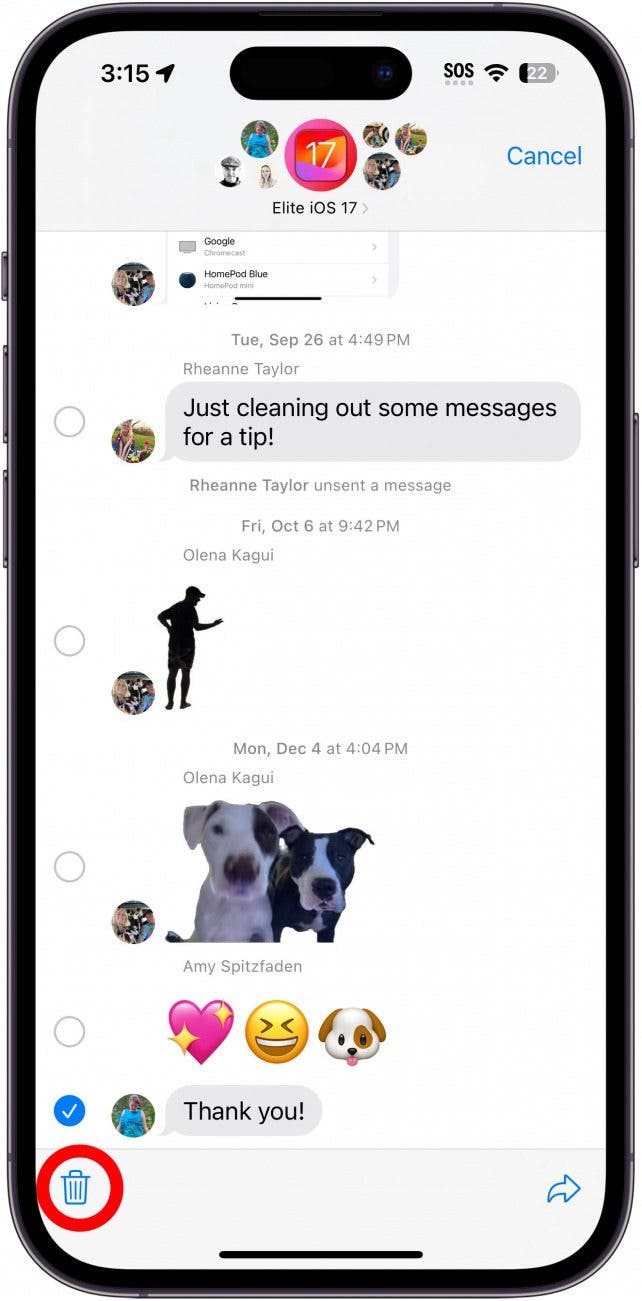 iPhone-Bildnachricht-Konversation mit einem roten Kreis um das Papierkorbsymbol