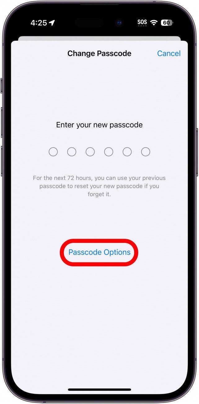 iPhone-Bildschirm zum Ändern des Passcodes mit rot eingekreisten Passcode-Optionen