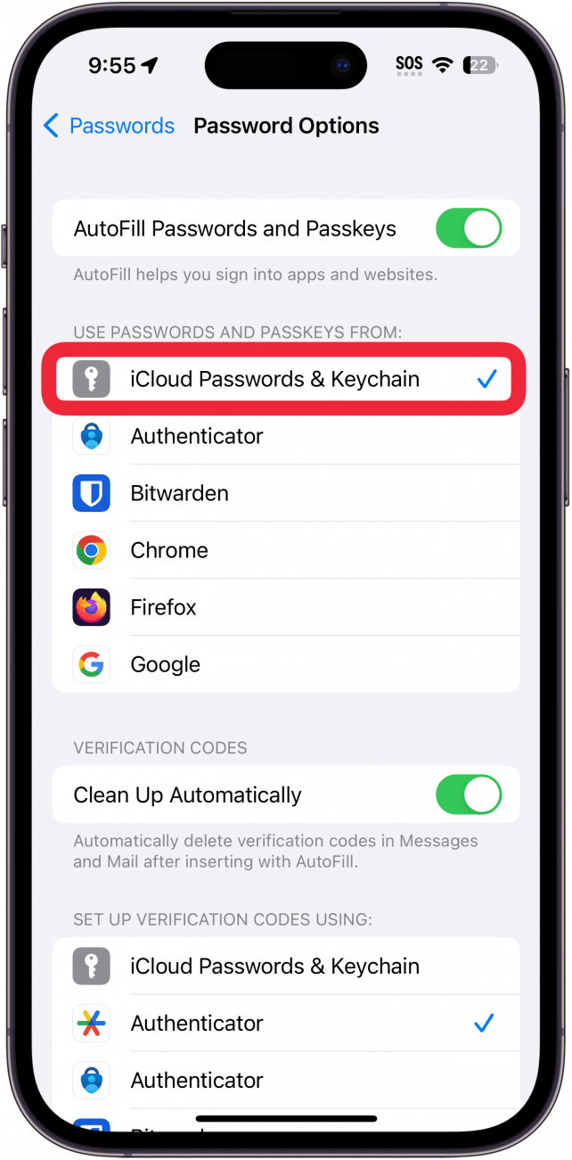 iPhone-Passwortoptionen mit rot eingekreistem Schalter „iCloud-Passwörter und Schlüsselbund“.