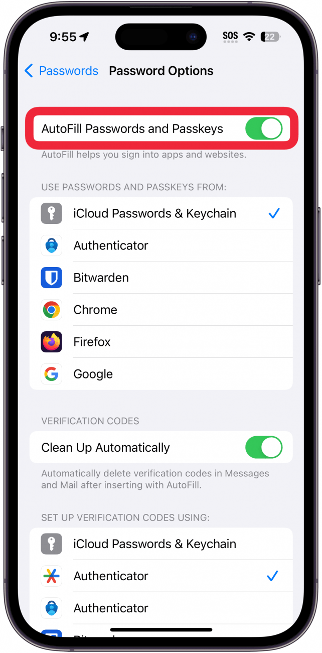 iPhone-Passwortoptionen mit rot eingekreisten AutoFill-Passwörtern und Passkeys-Schaltern