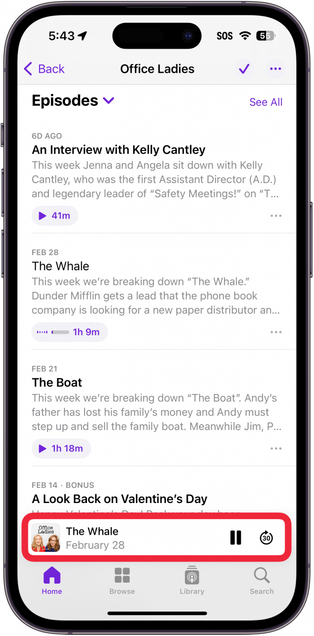 iPhone-App für Apple-Podcasts mit einem roten Kästchen um die Wiedergabeleiste herum