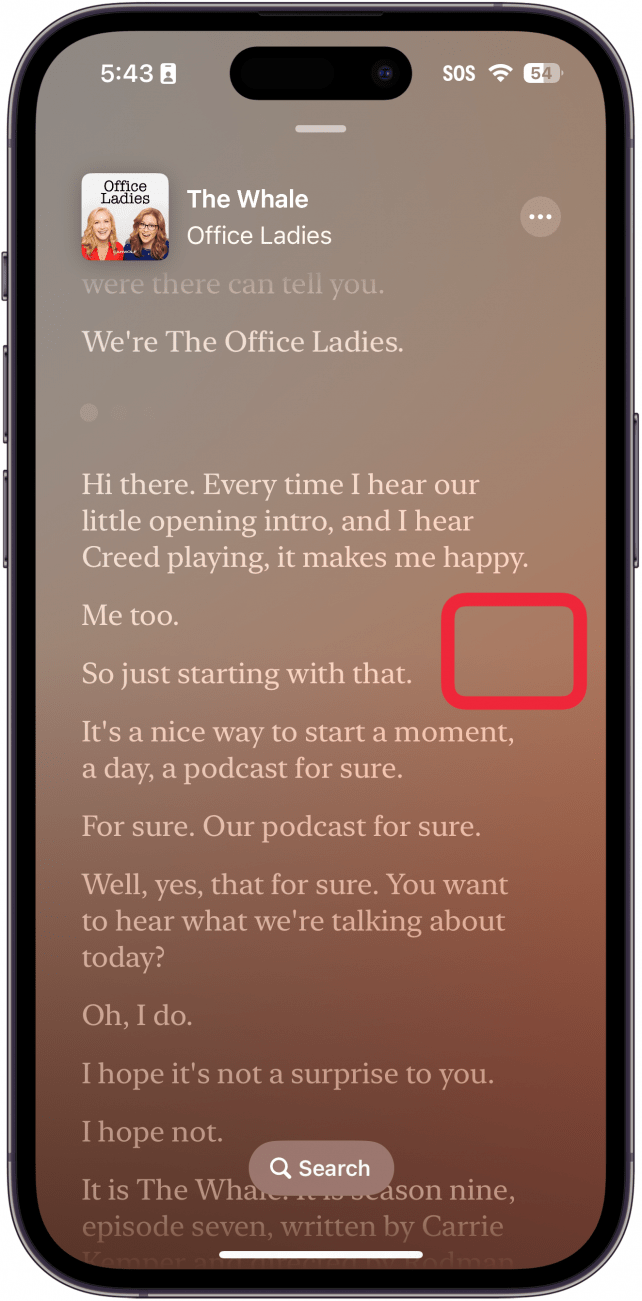 Apple Podcasts zeigen ein Podcast-Transkript mit einem roten Kästchen um ein Leerzeichen an